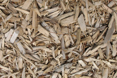 biomass boilers Berth Ddu